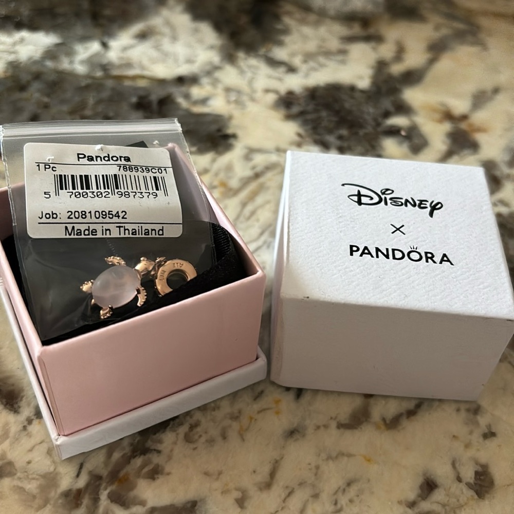 Pandora turtle charm